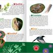Ars Edition - Mein grosses Soundbuch Vögel | Bild 2