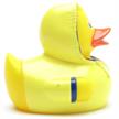 Badeente Schlechtwetter | Bild 2