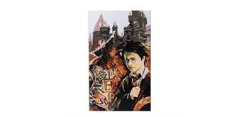 Craft Buddy - Paint by Numbers "Harry Potter Collage" 30 x 50 cm