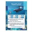 Crystal Art Buddy - Dolphin | Bild 3