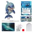 Crystal Art Buddy - Dolphin | Bild 4