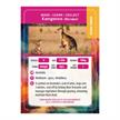 Crystal Art Buddy - Kangaroo | Bild 3