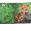 Crystal Art Card Kit Cats 18 x 18 cm | Bild 2