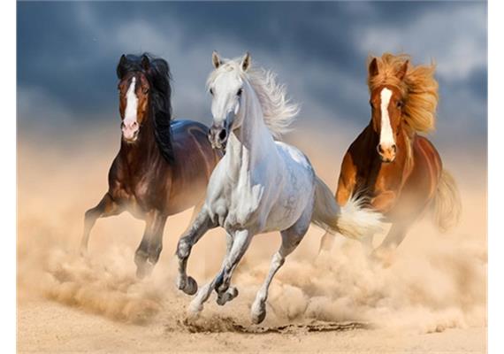 Diamond 6037-50171 Painting Pferde im Galopp 33 x 44 cm