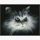 Diamond Dotz SQUARES Shadow Cat mit Rahmen 25 x 32 cm