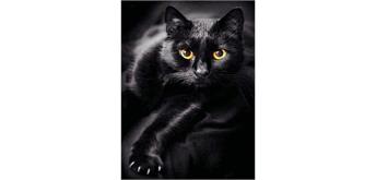 Diamond Painting 6037-40181 Schwarze Katze 25 x 35 cm