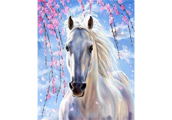 Diamond Painting 6037-40661 Schimmel 25 x 35 cm