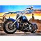 Diamond Painting 6037-50041 Harley 33 x 44 cm