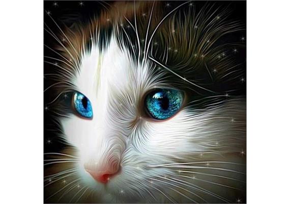 Diamond Painting Blue Eyed Kitten 40 x 40 cm, runde Steine
