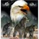 Diamond Painting Set DP2545030 Eagle 35 x 25 cm