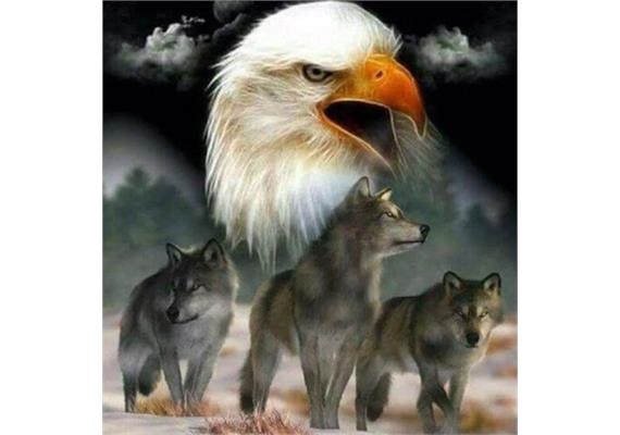 Diamond Painting Set DP2545030 Eagle 35 x 25 cm
