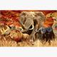 Diamond Painting Set DP2545041 Animals 35 x 45 cm