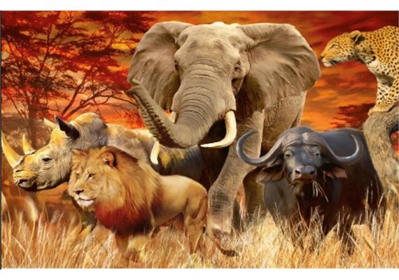 Diamond Painting Set DP2545041 Animals 35 x 45 cm