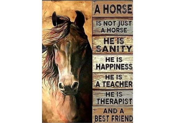 Diamond Painting Set DP2545055 Horse 35 x 45 cm