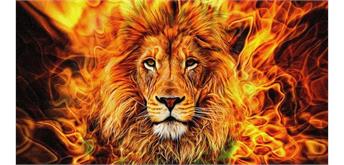 Diamond Painting Set GD79047 Lion Flame 35 x 25 cm