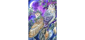 Diamond Painting Set GD79285 Owl 35 x 25 cm
