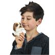 Folkmanis Fingerpuppe 2792 Mini Hund | Bild 3