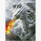 ideyka AMC7832 Diamond Painting - Feuerspeiender Drache 30 x 40 cm