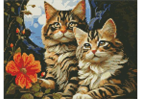 ideyka AMC7852 Diamond Painting - Entzückende Katzen 30 x 40 cm