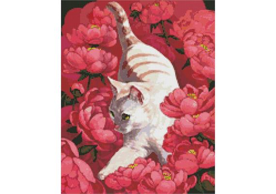 ideyka AMO7258 Diamond Painting - Katze in Pfingsrosen mit Rahmen 40 x 50 cm