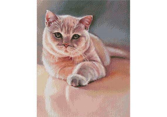 ideyka AMO7530 Diamond Painting - Lieblingspelz mit Rahmen 40 x 50 cm