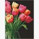 ideyka AMO8030 Diamond Painting - Tulpenduft mit Rahmen 30 x 40 cm