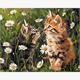 ideyka KHO6631 Malen nach Zahlen - Katzen in Blumen 40 x 50 cm