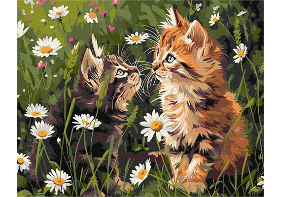 ideyka KHO6631 Malen nach Zahlen - Katzen in Blumen 40 x 50 cm