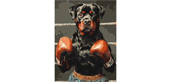 ideyka KHO6647 Malen nach Zahlen - Boxkampf 30 x 40 cm