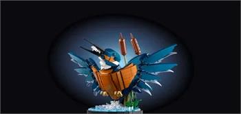 LEGO® Creator Expert