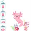 Moses - Schlüpfende Axolotl rosa oder violett assortiert | Bild 3