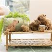 Nici - Schüsselanhänger Capybara Capy-Barbara | Bild 4
