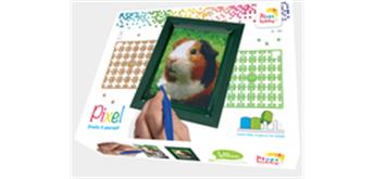 Pixel Geschenkbox mit 40 Pixel Vierecke - Meerschweinchen