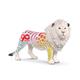 schleich® Collectors 72264 Löwe 90 Jahre Edition
