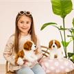 Teddy Hermann 91983 Bernhardiner sitzend 25 cm | Bild 2